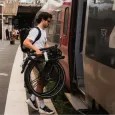 Bastille The Full Size Faltrad - Flat Bars 7-Gang Nexus